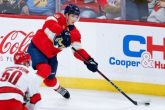 Hurricane vs. Panthers: Playoff Series Schedule, Score, TV Channels, How to Watch