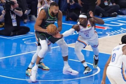 Rudy Gobert pic