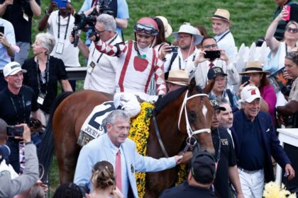 Journalism begins as a Belmont favourite. The second choice of sovereignty