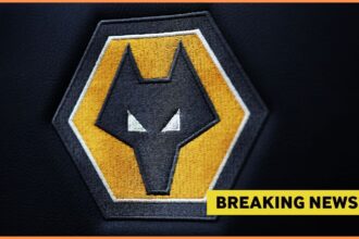 Wolves logo plus