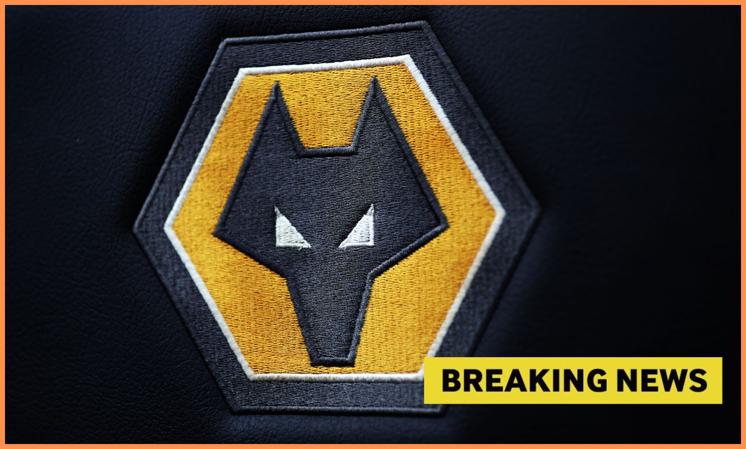 Wolves logo plus