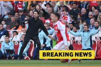 Mikel Arteta during Arsenal vs Newcastle