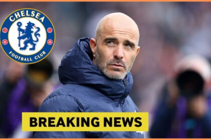 "I can confirm...": Chelsea is enthusiastic about "very easy coach" 22-year-old Premier League ace