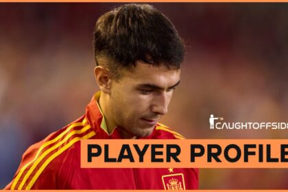 Martin Zubimendi player profile