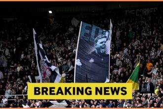 Submitted Offer: Newcastle in a meeting with UCL recipients to sign a 27-year-old utility man