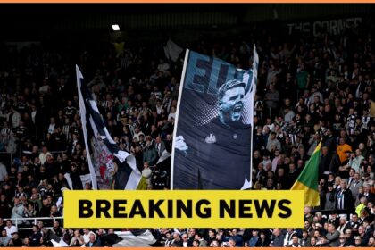 Submitted Offer: Newcastle in a meeting with UCL recipients to sign a 27-year-old utility man