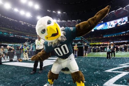 Fantasy Football Team Name: How to Choose a Winner