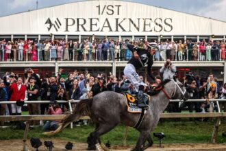 Who won the Preakness Stakes? The best winners ever