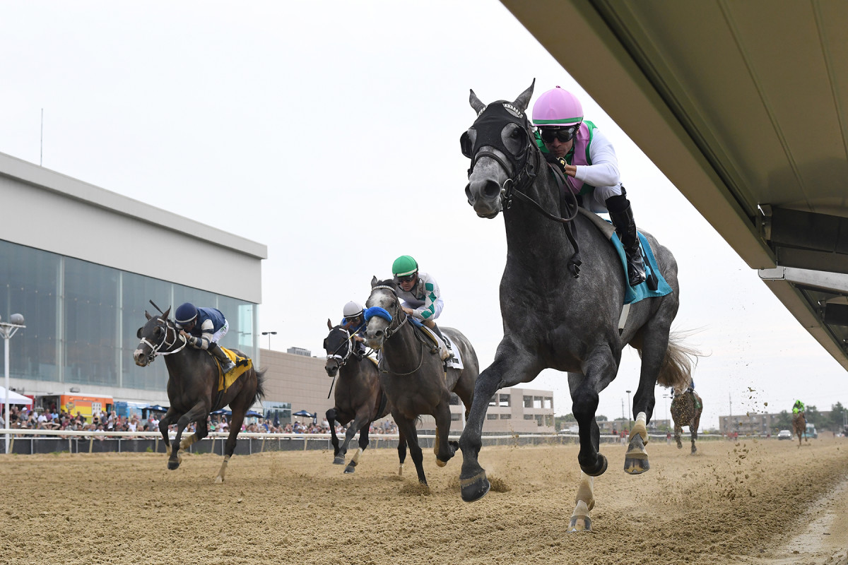 Rated Stakes Winner Red Route 1, Batten between the offerings of fasig-tipton July