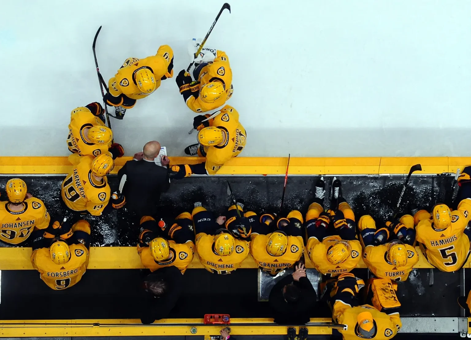 Breaking: The new head coach of the penguin name Danmus