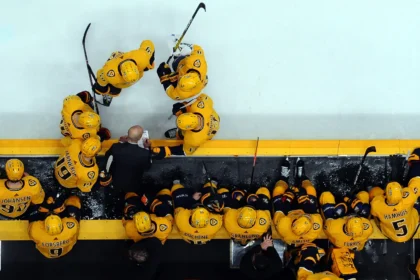 Breaking: The new head coach of the penguin name Danmus