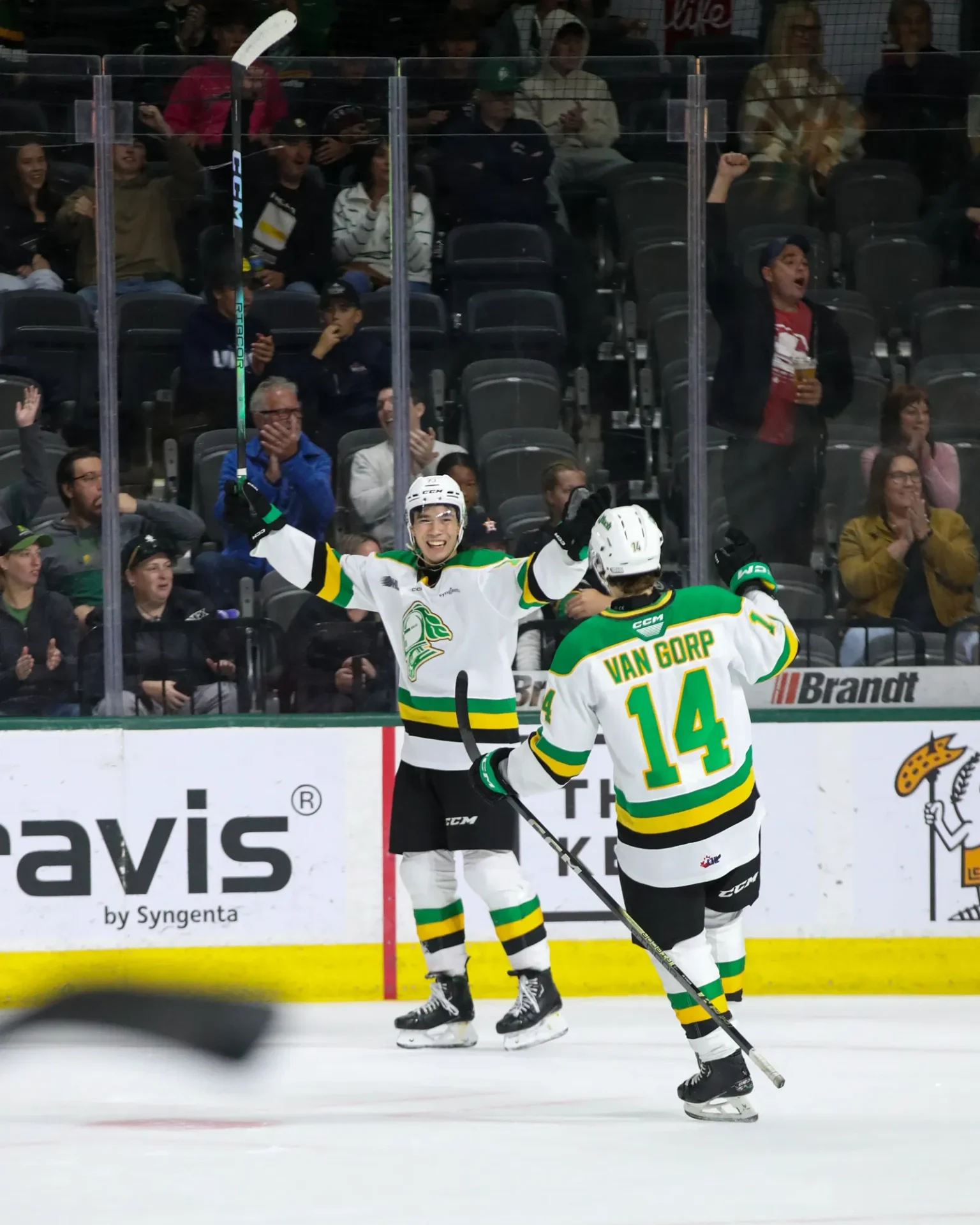 Knights take care of business at the Memorial Cup