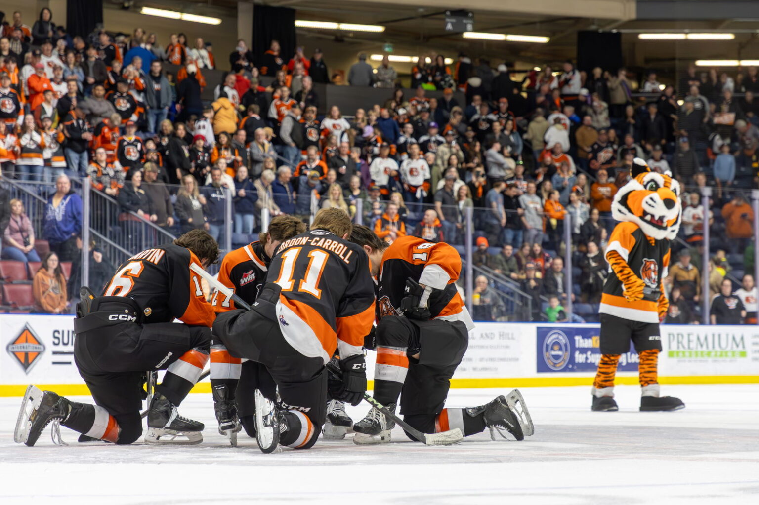 Medicine Hat Tigers after 2007 Memorial Cup defeat, 18 seasons