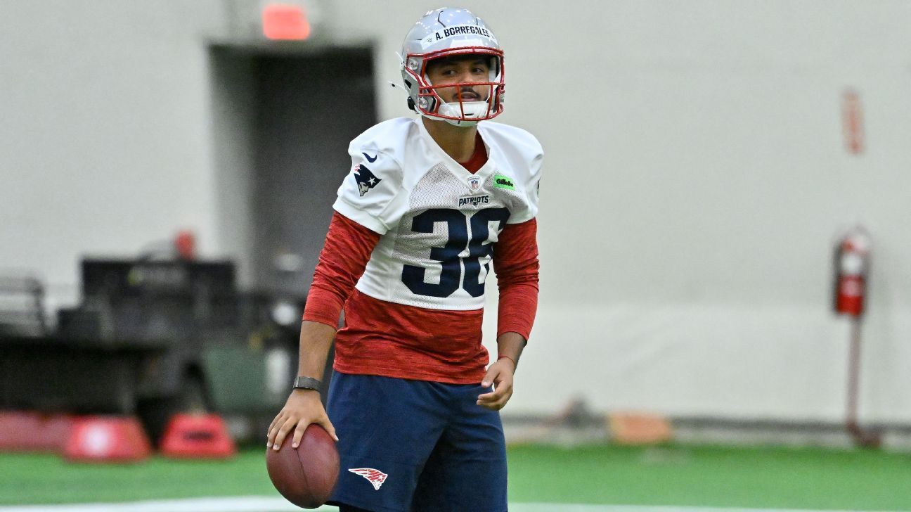Who is Patriot Rookie Kicker Andy Bol Ledgers?