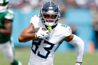 NFL Free Agency: Veteran receiver says he's "absolutely" interested in the possibility that he'll sign with the Steelers