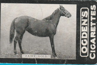Let us not forget: Vestid Monk Rock represents Belmont's "bloodline ideal" in August