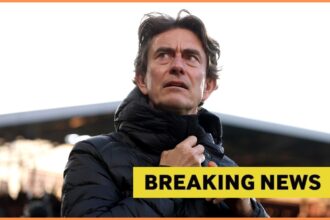 Report: This summer, 24-year-old "very progressive passerby" Tottenham makes eye contact with