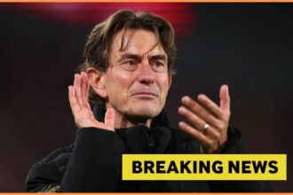 Thomas Frank, plus yellow