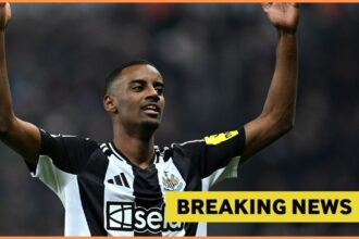 Alexander Isak celebrates a goal for Newcastle, plus yellow