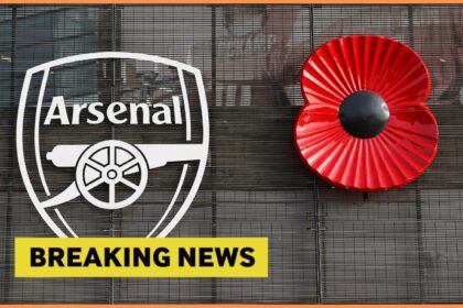 If not: Arsenal is confident in the lander who surprised David Raya