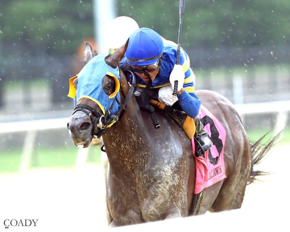 Colonial Downs: Winfinity, Slam concept wins dirt stakes