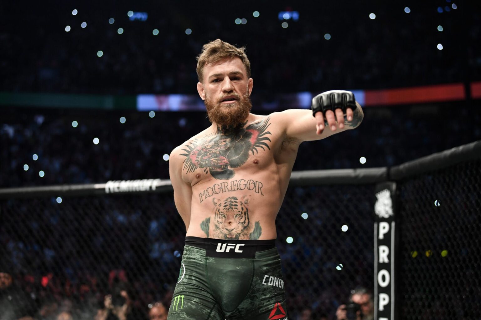 Photo by Brandon Magnus/Zuffa LLC/Zuffa LLC via Getty Images