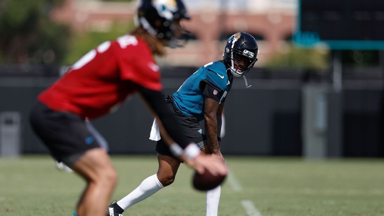 Diami Brown is excited to contribute to Jaguars Elite WR Group