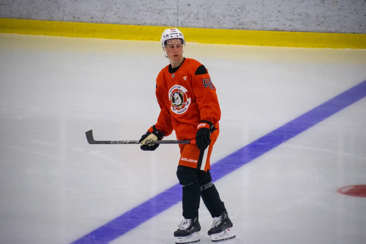 2025 Anaheim Ducks lead ranking: 6. EricNilson