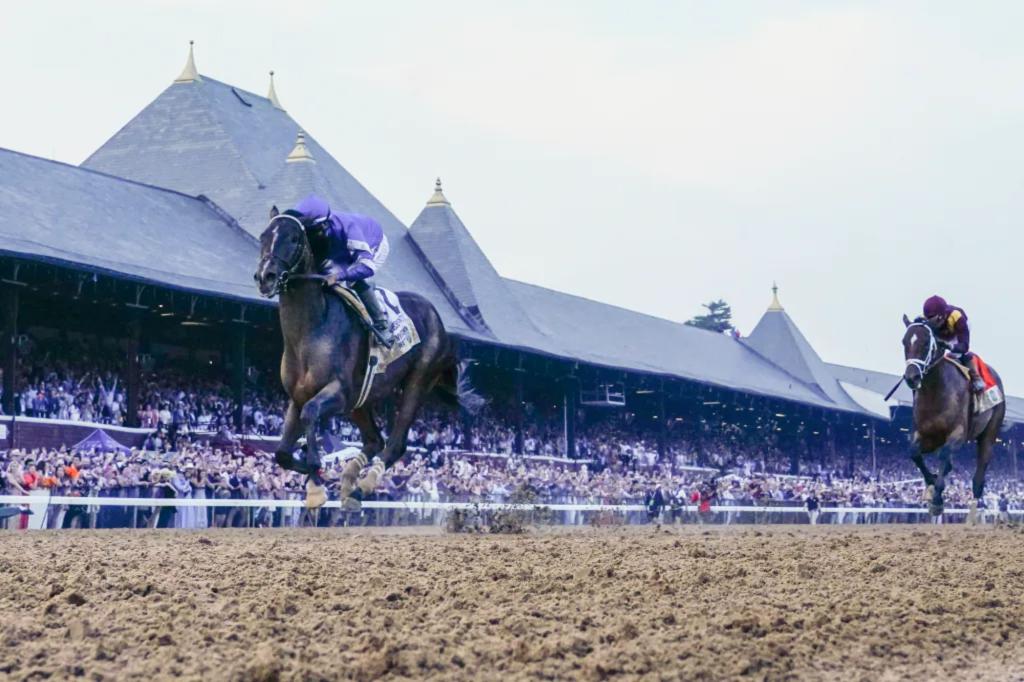 We will break down all aspects of the upcoming Saratoga tournament.