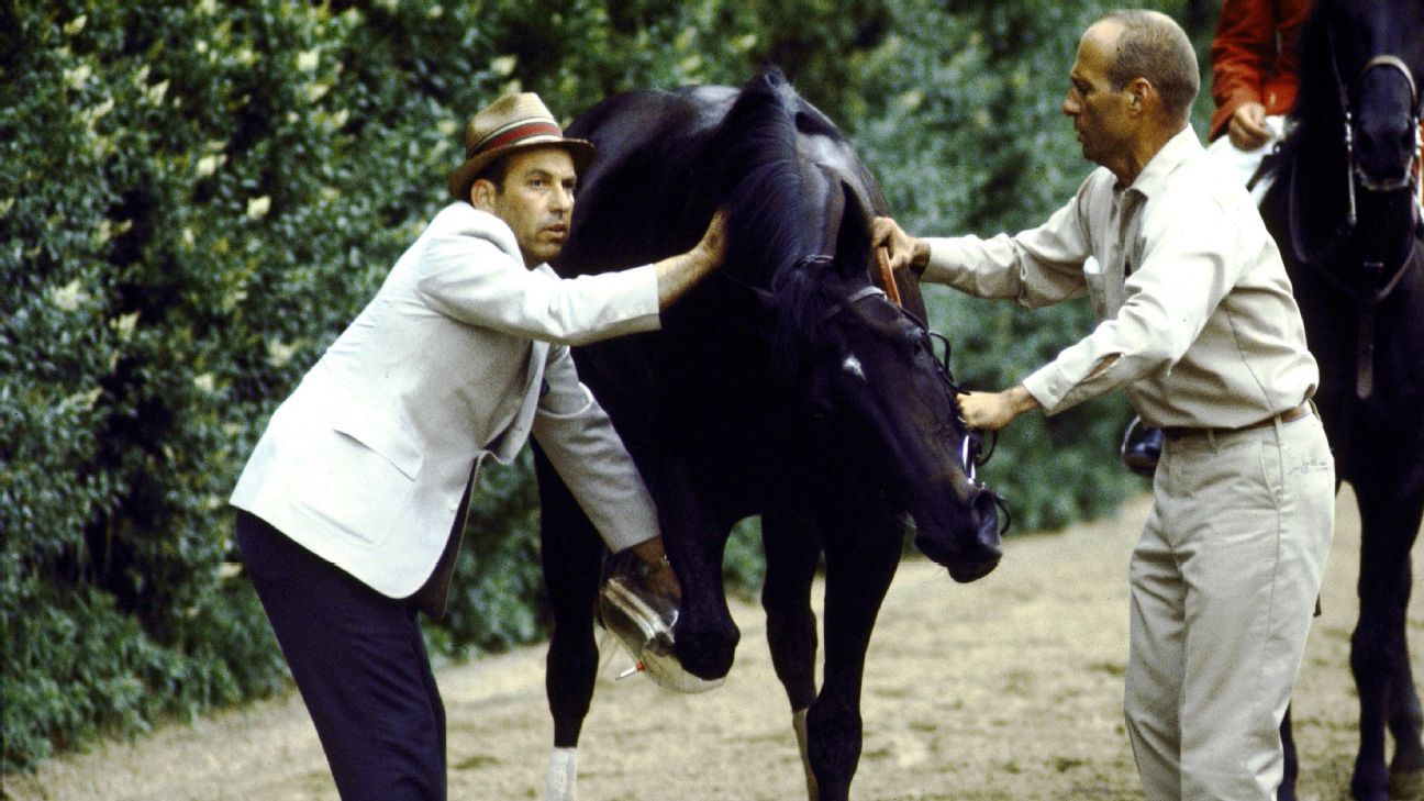 It reminds me of Ruffian 50 years after his breakdown in Belmont