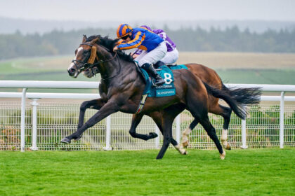 Hollie Doyle 'Gutted'; 9-year-old Trueshan suffers fatal injuries from the Goodwood Cup