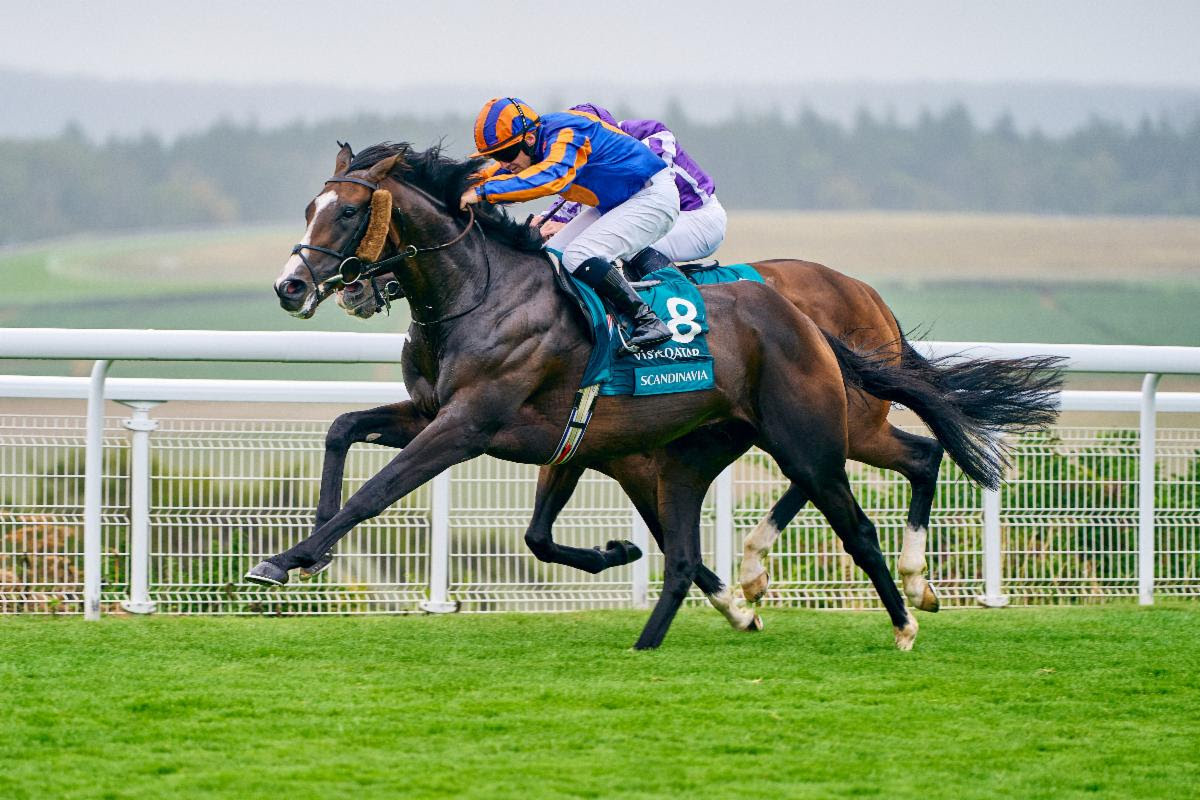Hollie Doyle 'Gutted'; 9-year-old Trueshan suffers fatal injuries from the Goodwood Cup