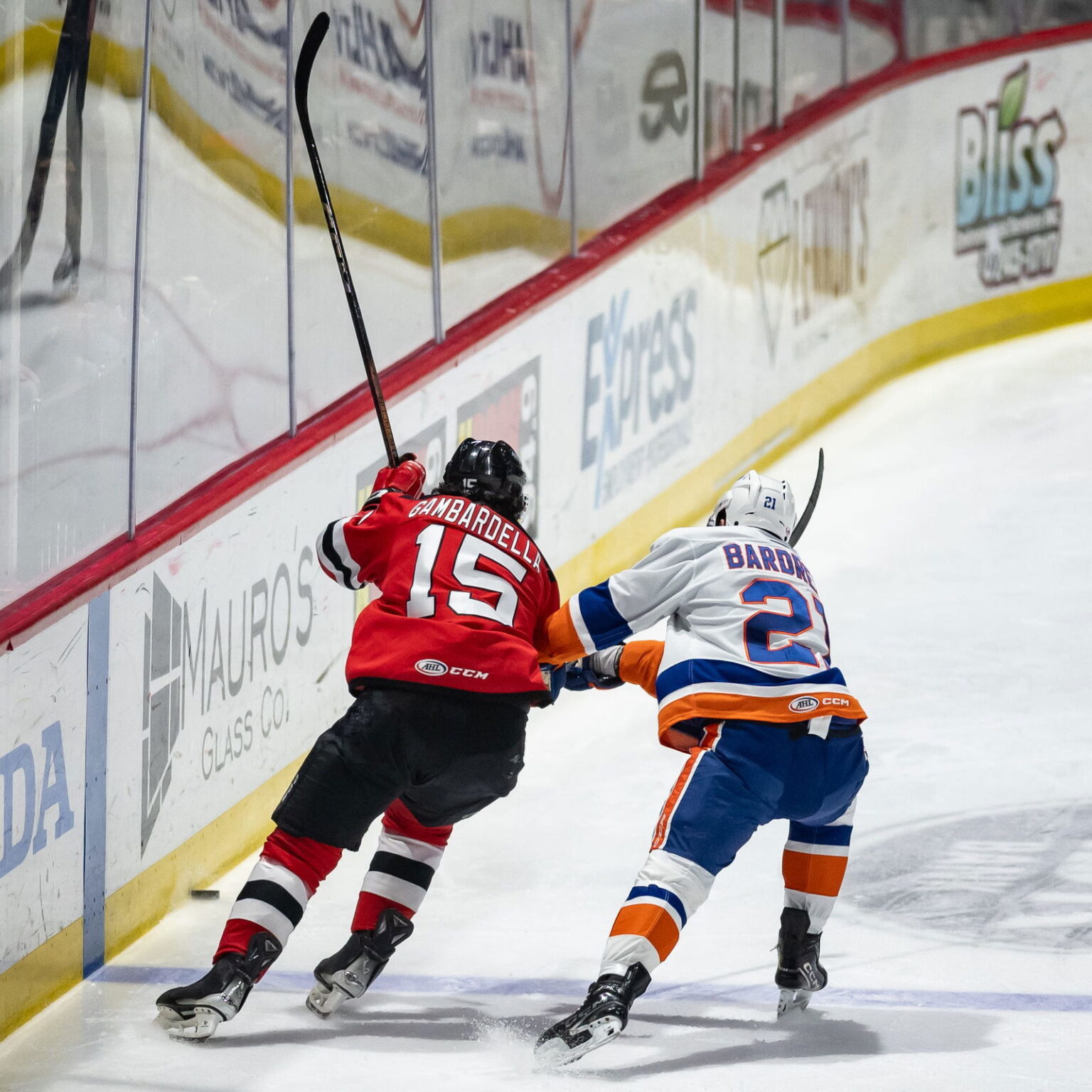 Former Bridgeport Islanders Forward Italy's Colbirdrow sign