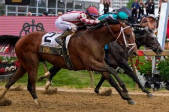 Journalism wins Preakness after a runner-up derby finish