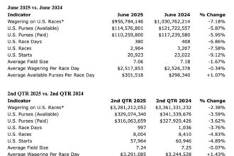 Economic indicators: bets, wallet decline in June, quarter