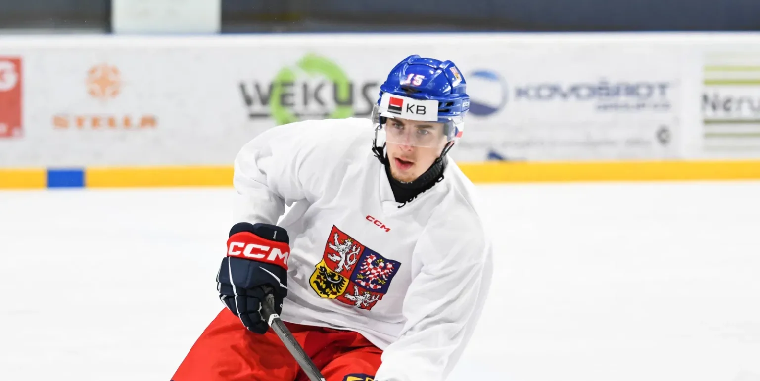 Kings' second round draft picks are considering staying in the Czech Republic or moving abroad