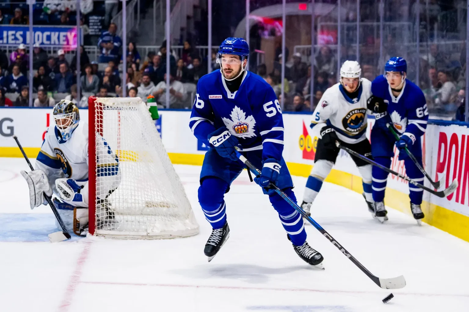 Maple Leafs re-sign the contract between forwards Cedric Pare and Sam Stevens