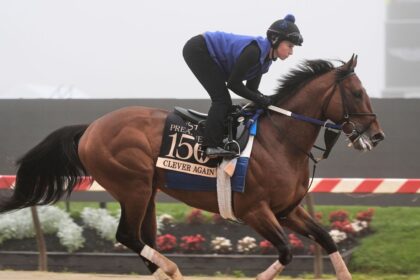 Betting on the 2025 Preakness Stakes: How to Bet, Who Will Win?