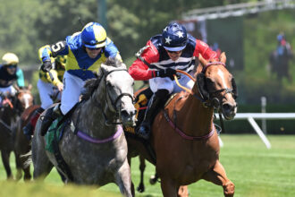 "Patience" brought a historical mind to the AP Smithwick winner's circle