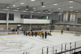 Penguin Outlook Development Camp: Day 4 Summary