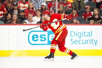 Potential Red Wing Defense Trade Target: Rasmus Anderson