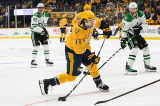 Does it make sense for penguins to dabble in the RFA market this offseason?