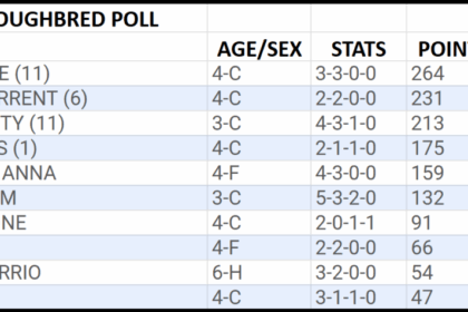 Stephen Foster Victor Mindframe leads NTRA Top Thoroughbred polls