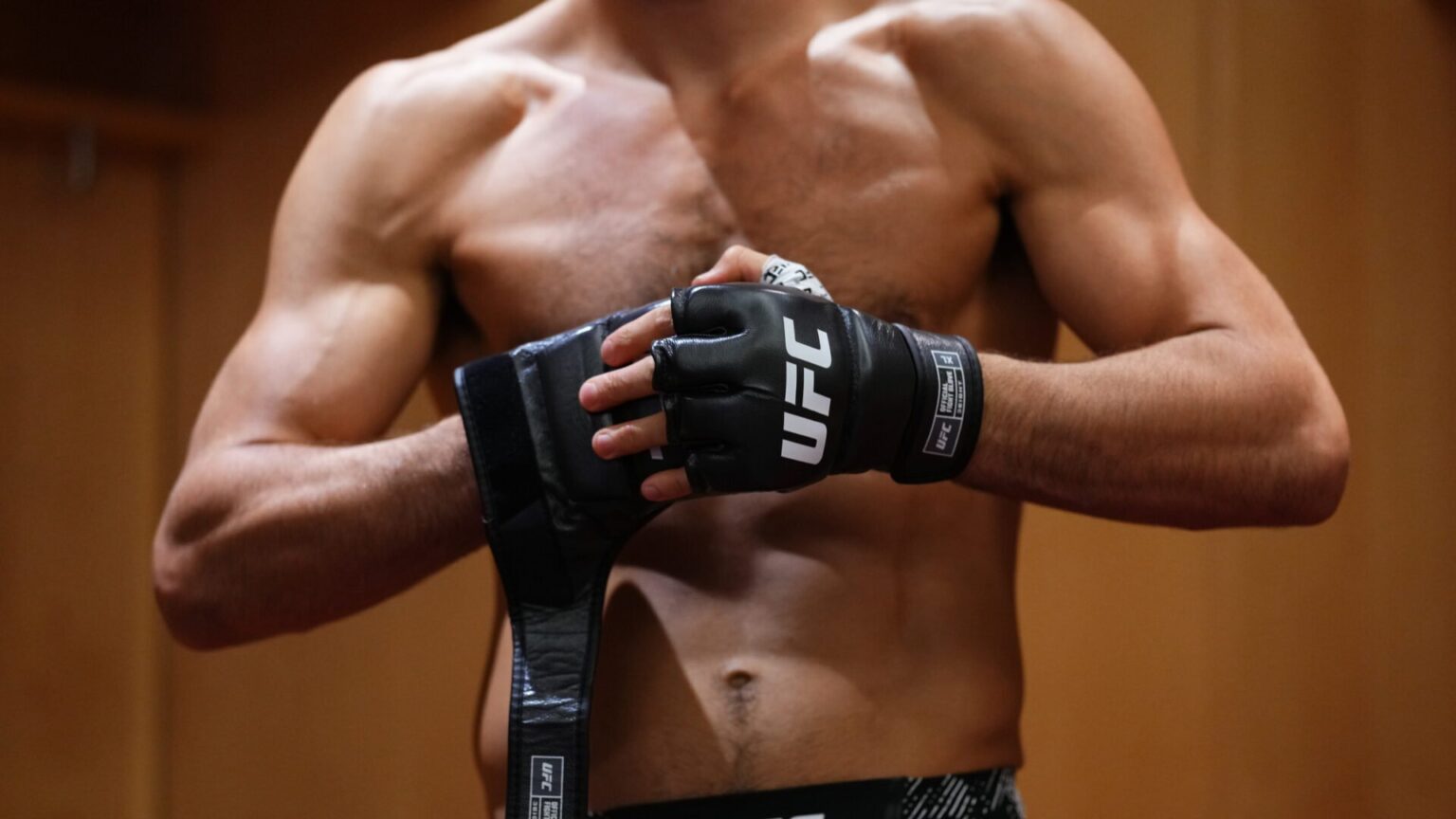Photo by Mike Roach/Zuffa LLC via Getty Images