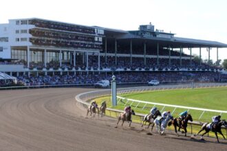 How to watch the 2025 Haskell Stakes: Schedule, Date, Full Field, Past Winners