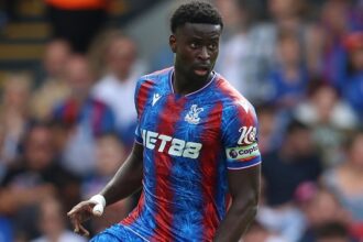Crystal Palace looking for sale for Mark Guech