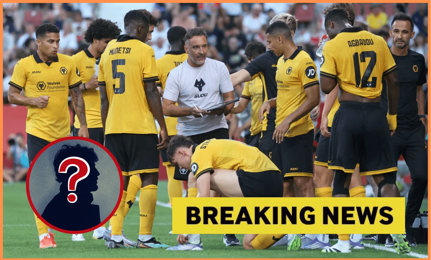 The Wolf provided the opportunity to sign the £15 million championship star