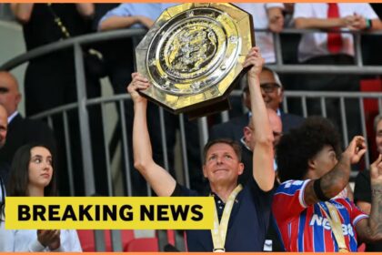 Crystal Palace is ready to sell playmakers for just 20 million euros