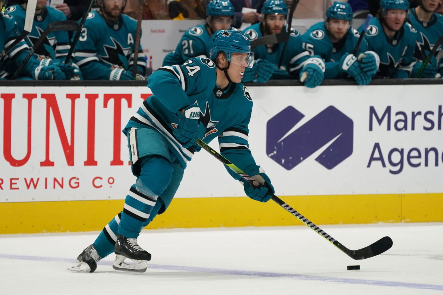 64 days until the opening day: The history of Shark No. 64