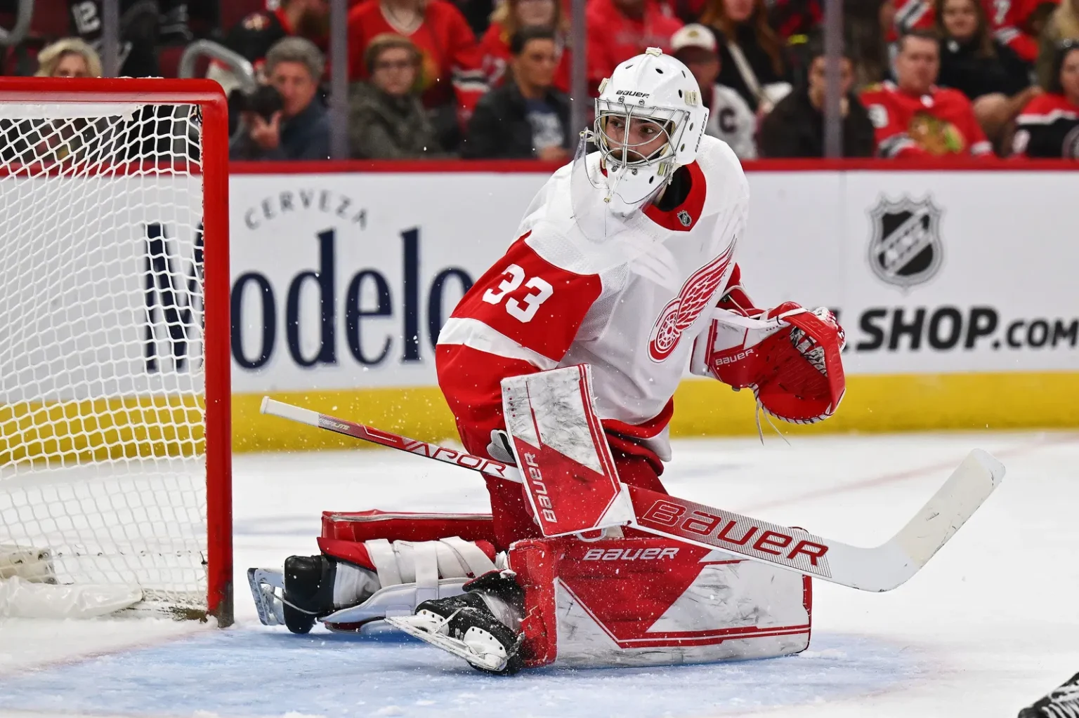 Detroit AHL coach says Cossa will be firmly in the mix for the role of Red Wings backup